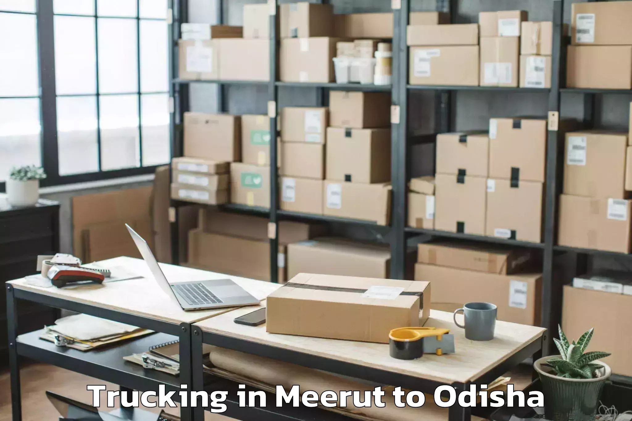 Book Meerut to Soro Trucking